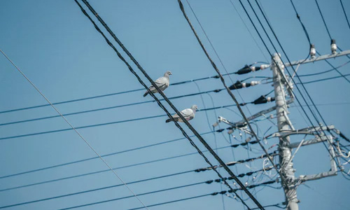 智能巡检系列整体解决方案